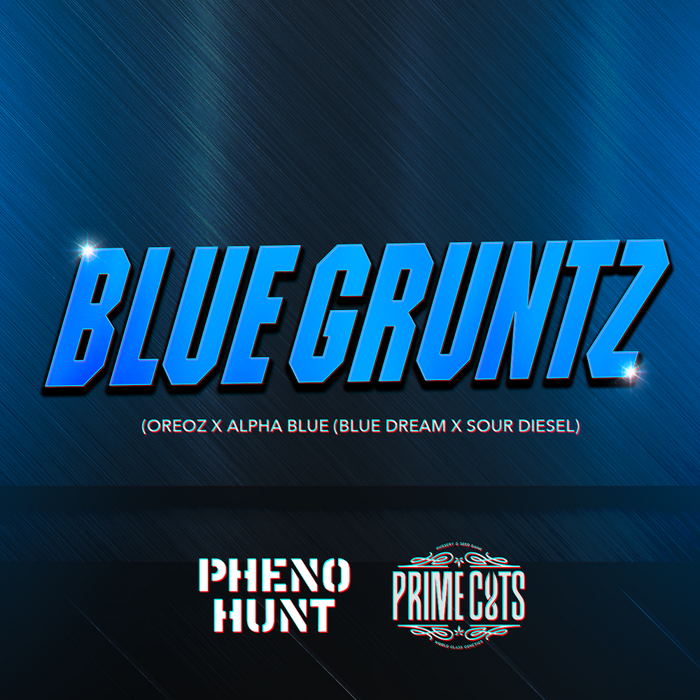 Blue Gruntz Clone