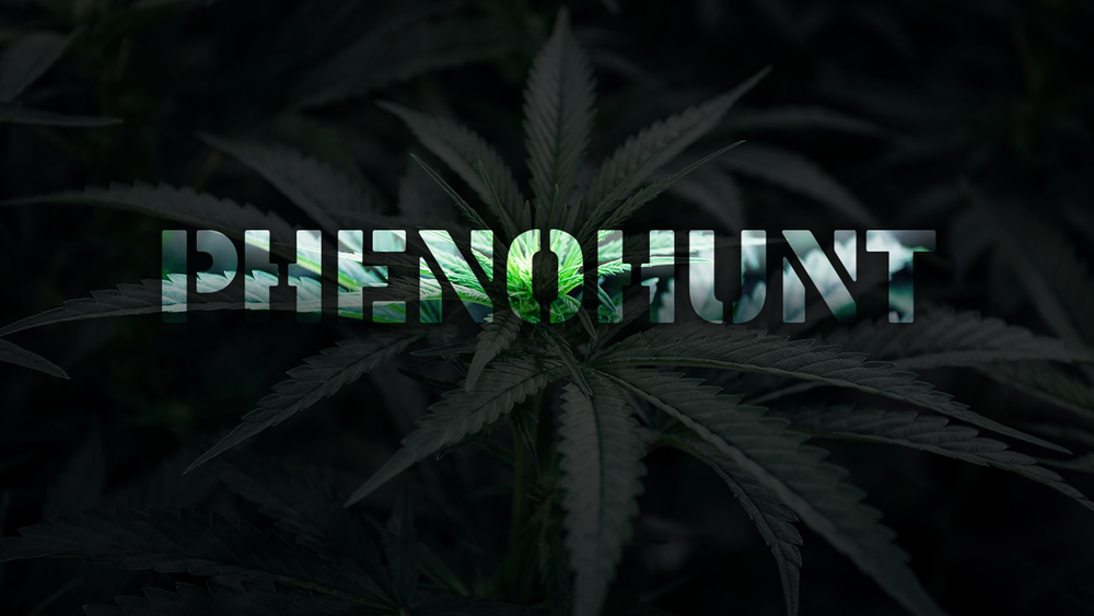 PHENOHUNT