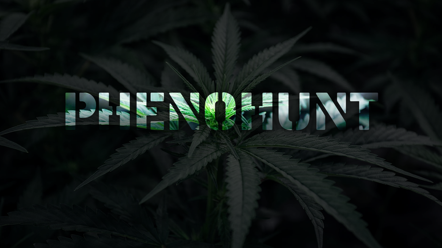 PHENOHUNT