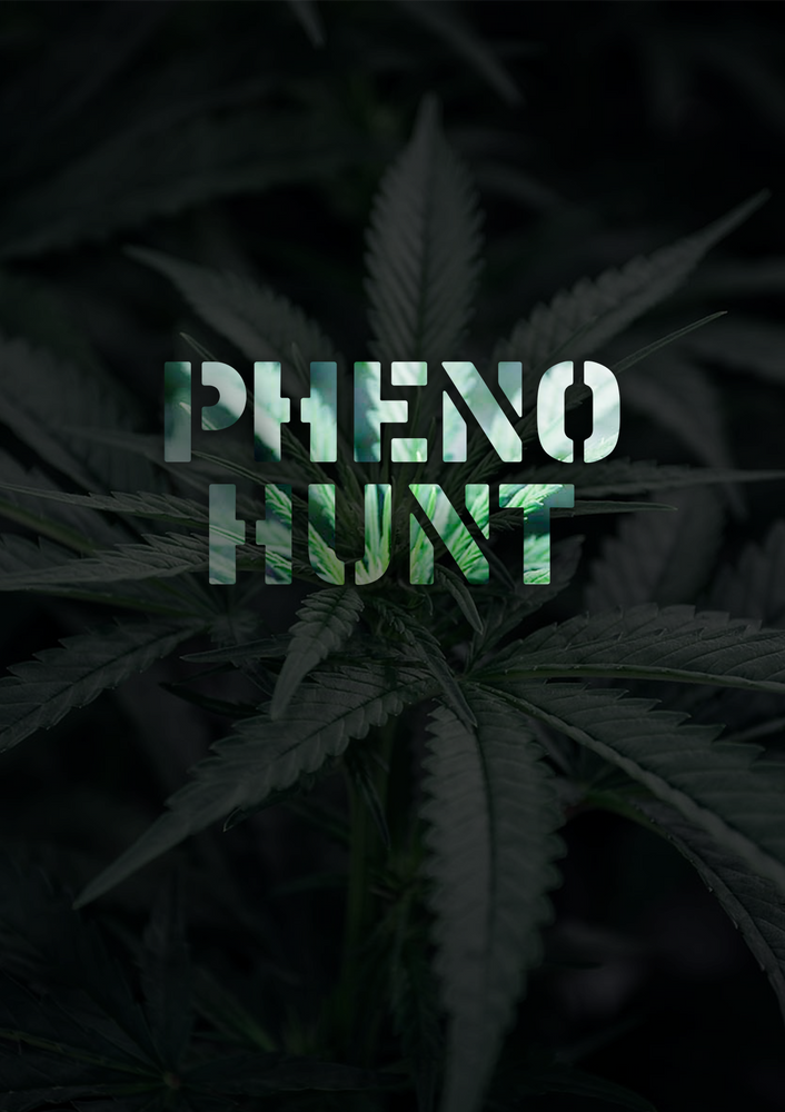 PHENOHUNT