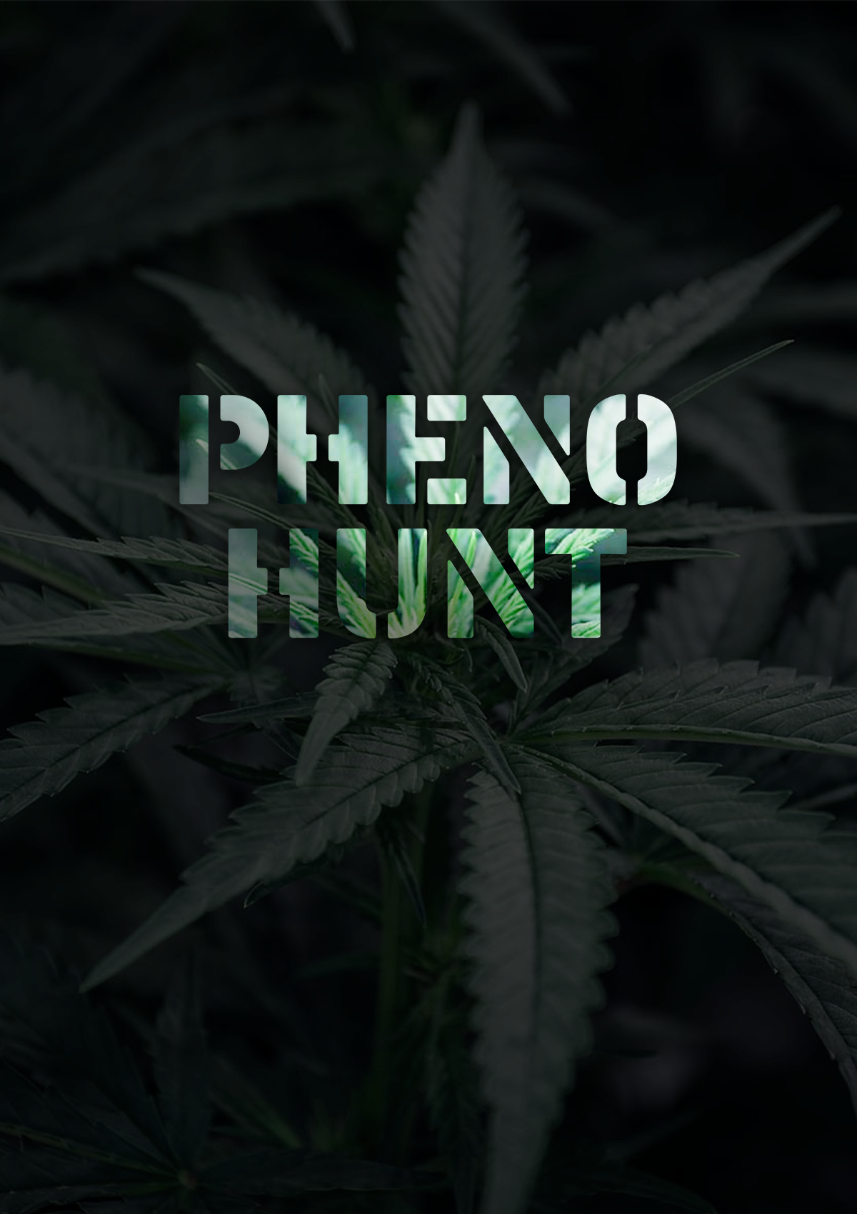 PHENOHUNT