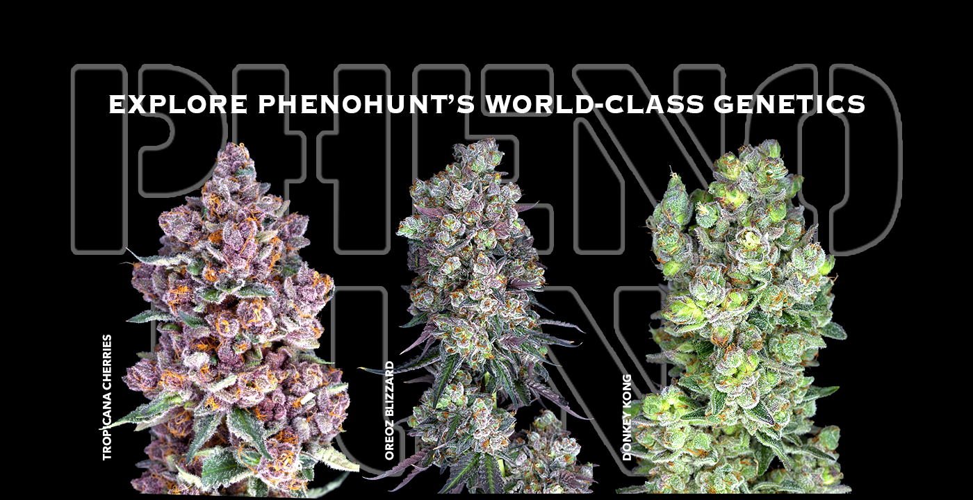 PHENOHUNT
