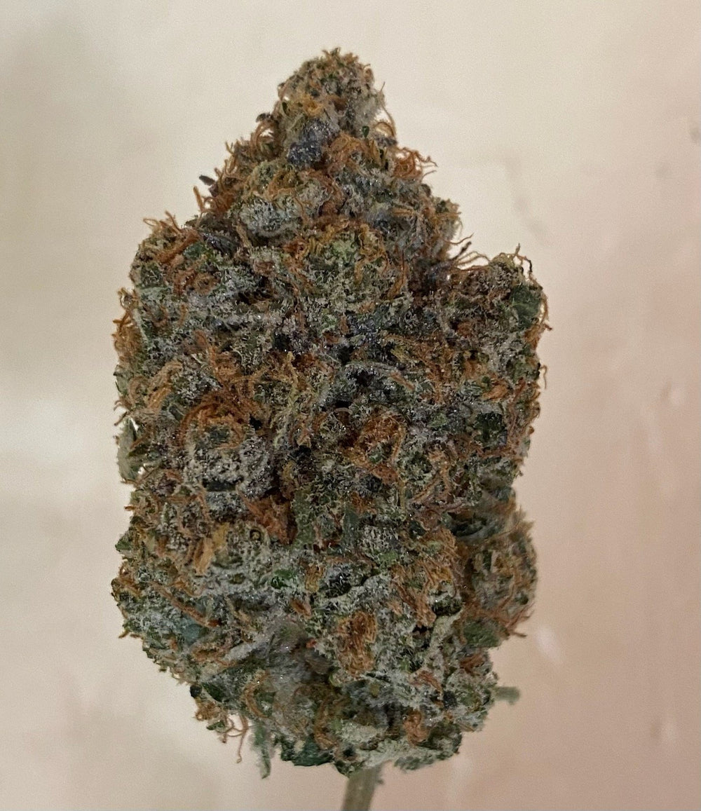 Tree Flip Clones (Original Lemon Tree x Wedding Cake) – PHENOHUNT